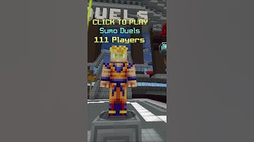 What Your Favorite Hypixel Duel Says About You!