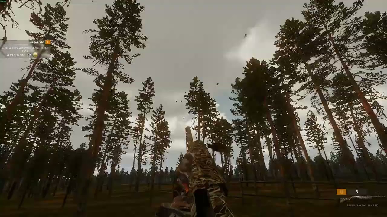 BULT Hunting simulator , Bug Galinhas