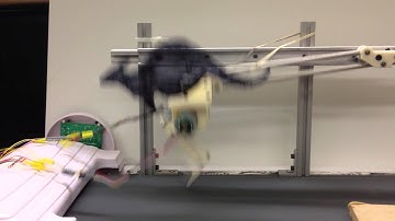 Hopping Robot "Kanga" Video