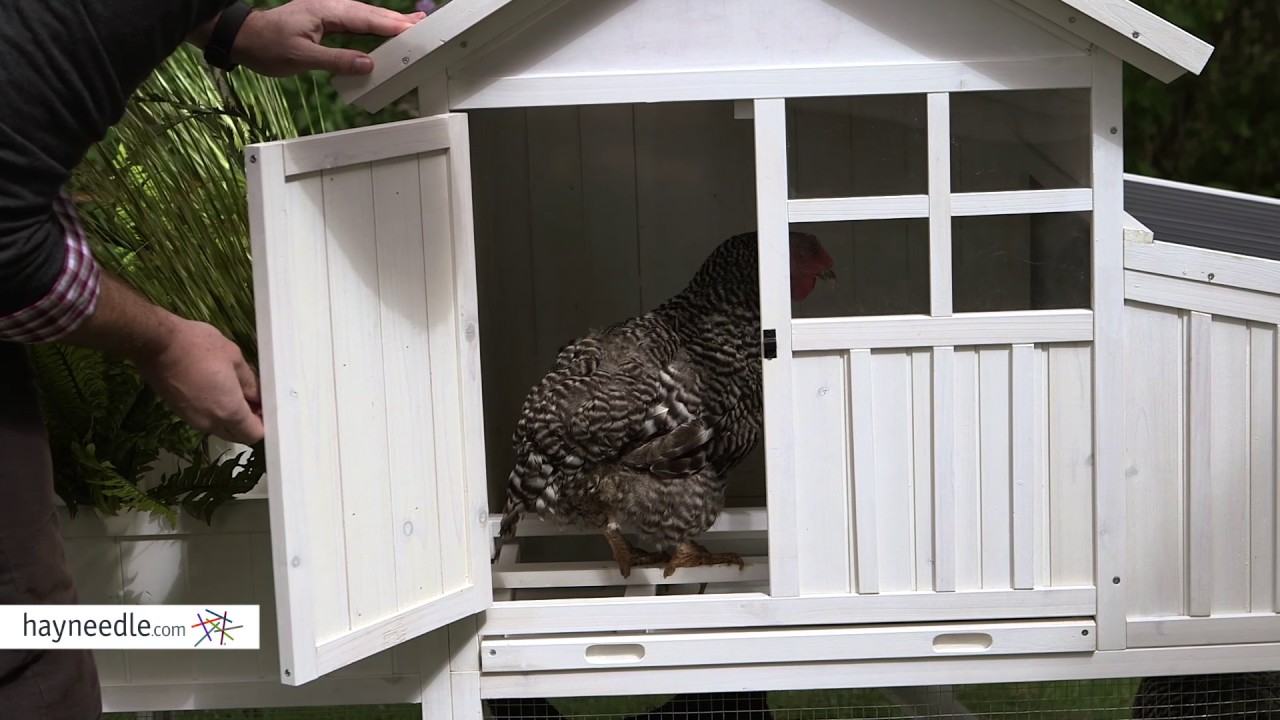 Boomer & Willow Garden Bed Chicken Coop Product Review Video