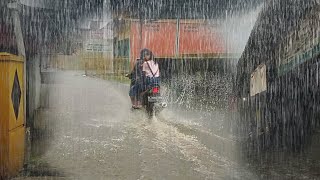 The heavy rain in my village makes me fall asleep faster because of the sound of the heavy rain by village rain vlog 2,251 views 1 month ago 3 hours, 4 minutes