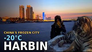 I survived -20*C in China's coldest city (Harbin)