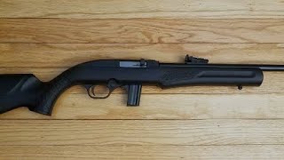 Rossi Rs .22 Basic Cleaning