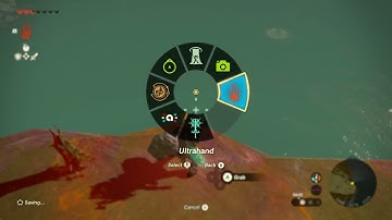 [DAY 327] of finding one korok seed in TotK everyday until a new Zelda game comes out