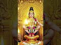 സ്വാമി ശരണം🙏🏻 #shorts #new #shortvideo #ayyappa #ayyappan #ayyappaswamy #sabarimala #song #nonstop