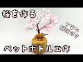 ペットボトルで桜を作る