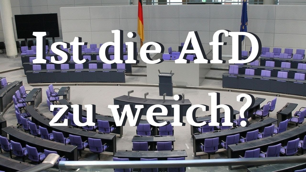 Dobrindt will AfD-Ausschluß von Bundestagsposten (Wandernder Wolf 45)