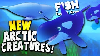 KILLER WHALE AND BELUGA IN NEW ARCTIC AREA! | Feed And Grow Fish Update Gameplay