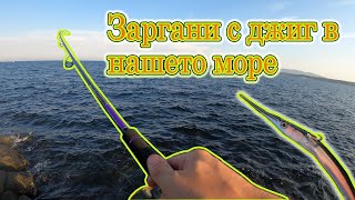 Риболов на зарган с джиг в нашето море. Какви джигове да ползваме?