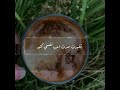 اللي يقول يافلانه تغيرتي أصحاب اعتبرتهم اخواان اللي يقول يافلانه تغيرتي أصحاب اعتبرتهم اخواان