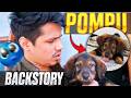 @GamerFleet Dog Pmpu 🐶Back story🤩💖