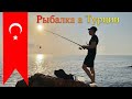 Рыбалка в Турции🇹🇷 Кефаль на хлеб | Средиземное море | Кемер | Fishing in Turkey