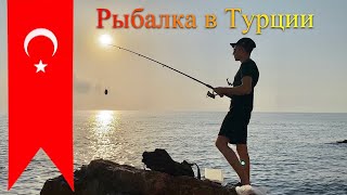 Рыбалка в Турции🇹🇷 Кефаль на хлеб | Средиземное море | Кемер | Fishing in Turkey