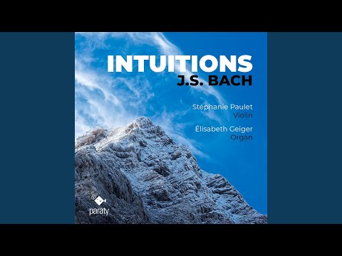 Sinfonia No. 15 in B Minor, BWV 801 (Arr. for Violin & Organ) adlı videoyu YouTube'da izle