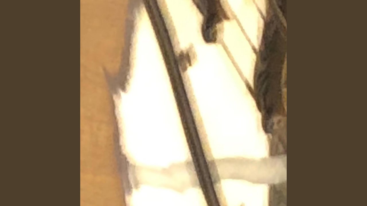 Broadcast Interruption