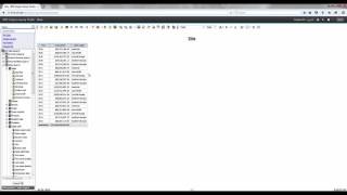 IBM Cognos Query Studio Training - Aggregating Crosstabs Demo 2-4 || Cresco International