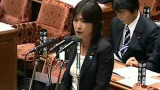 稲田朋美 外国人参政権質疑応答1 20091105