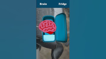 Brain Fridge Quiz 105