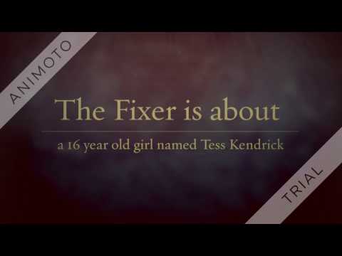 The Fixer