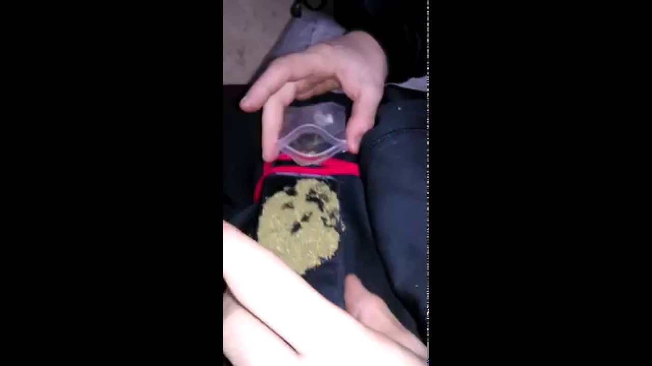 Funny ass smoke sesh