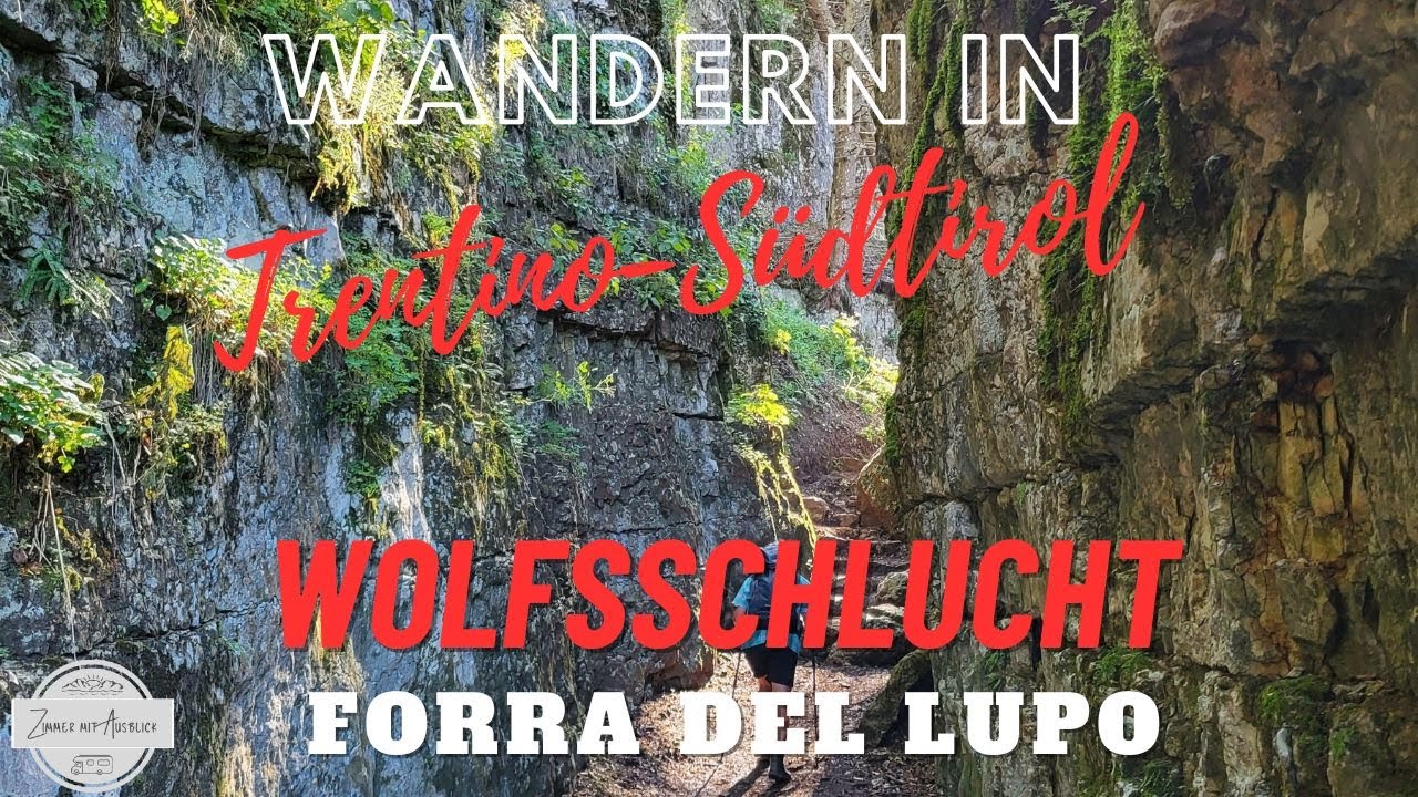 Wandern in TRENTINO-SÜDTIROL | Wolfsschlucht (09/2023)