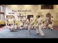 Awesome Dynamic Kicking - by Rick Hotton Sensei