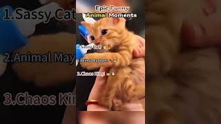 Ranking Funniest Drive-Thru Moments 🤣 #ranking #memes #funny #tiktok