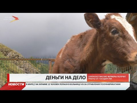 Североосетинские фермеры получат