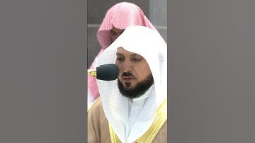 تلاوة خاشعة للشيخ ماهر المعيقلي