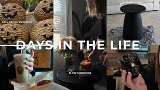 a few days in the life | weekend things, fall decor shopping, mental check-in, cozy mornings