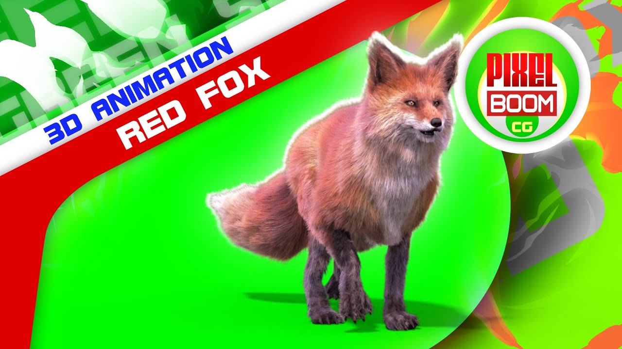 Green Screen Red Fox Animals 3D Animations PixelBoomCG