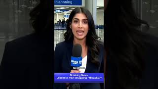 Has anyone smuggled Mloukhiyeh before? 😂 #Lebanon #Canada #Lebanese