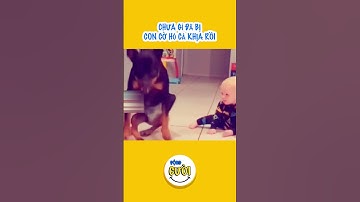 Chú chó suốt ngày cà khịa dáng đi của cậu chủ nhỏ gây sốt #shorts