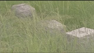 Batavia cemetery damaged again by vandals