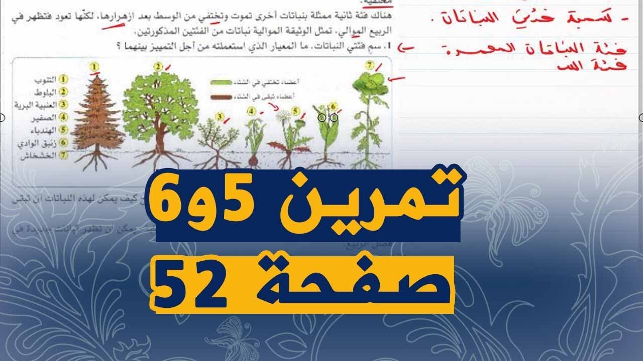 تمارين الكتاب المدرسي 5و6 صفحة 52 علوم طبيعية للسنة الثانية متوسط الجيل الثاني