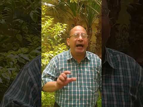 هل تعرف معنى شوبش وعلاقتها بالأعداد