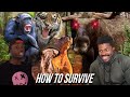 How to Not Get Unsubscribed from Life by Animals | The Chill Zone Reacts