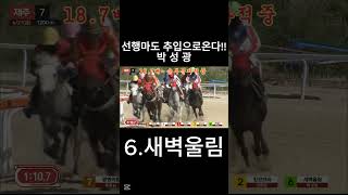 선행마도 추입으로 온다   #경마  #경마예상  #경마방송  #경마예상방송  #서울경마  #금요경마  #토요경마  #일요경마 #경마장