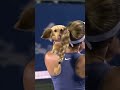Dog On Court! 🐶 | Mubadala Citi DC Open 2025