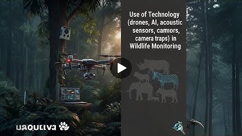 Use of Technology drones, AI, acoustic sensors, camera traps in Wildlife Monitoring