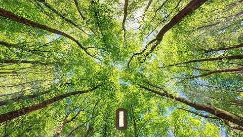 Fill Me Up – Powerful Worship Song by Tasha Cobbs Leonard