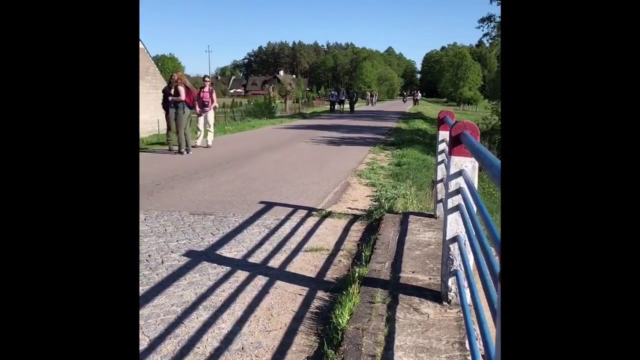 Roadecology Roadkill herpetofauna