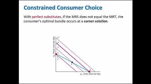 Perfect Substitutes Utility Maximization