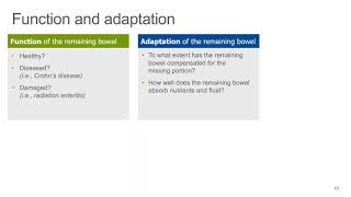 Short Bowel Syndrome: The Intestinal Rehab Approach