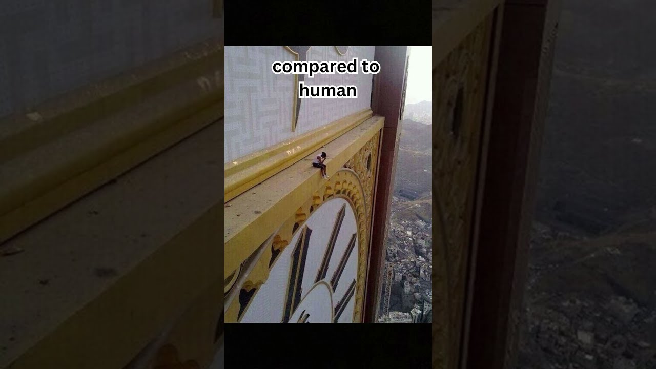 Things That Are Bigger Than You Think Big Shorts BiggerThanYouThink JawDropping ViralVideo