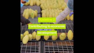 Angkor Harvest: A Case Study on Responsible Investment into Mango in Cambodia