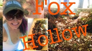 Metal detecting an 1800's tavern cellar hole brings treasures!