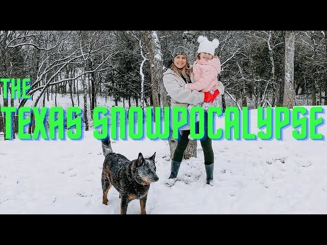 Texas Freezes Over and Middle Parts - End Times