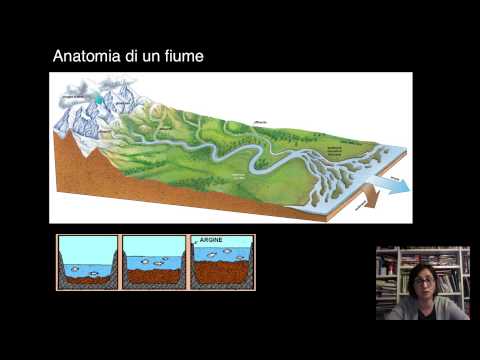 Video: Come funzionano i sistemi fluviali?