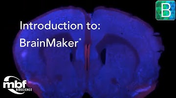 Introduction to BrainMaker